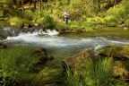 Fishing at Burney Falls: 1024x681.71851851852
